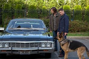 SPN905
