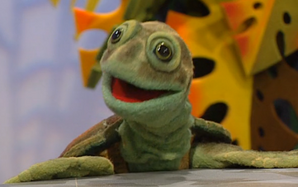 Chauncey the Turtle