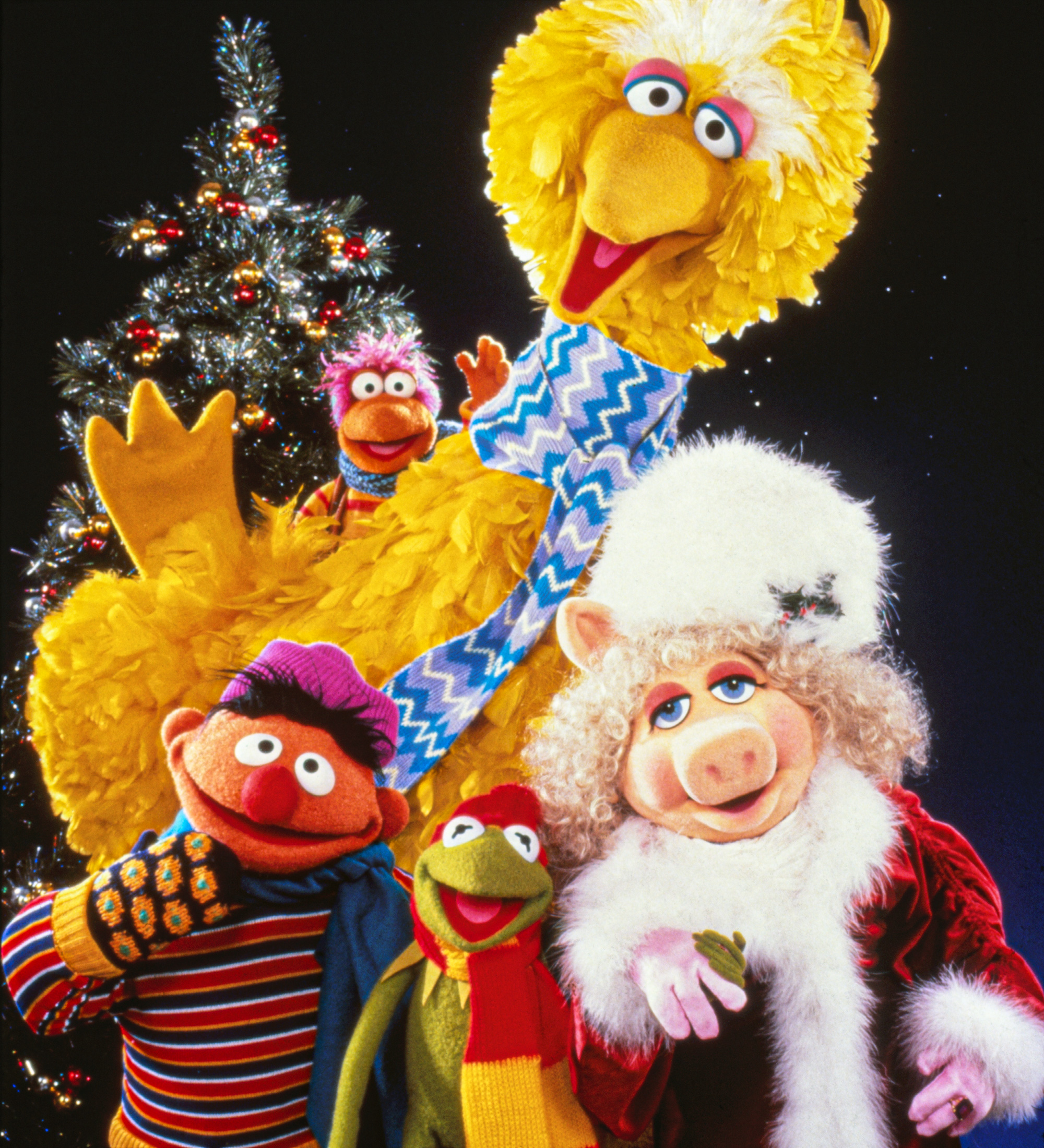 A Muppet Family Christmas - Muppet Wiki