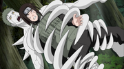 Zetu pega Neji
