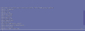 Developer console