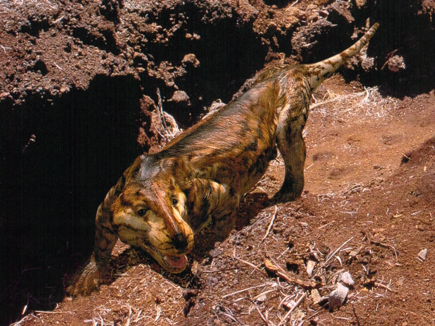 Synapsida Walking With Wikis the free Walking with... encyclopedia