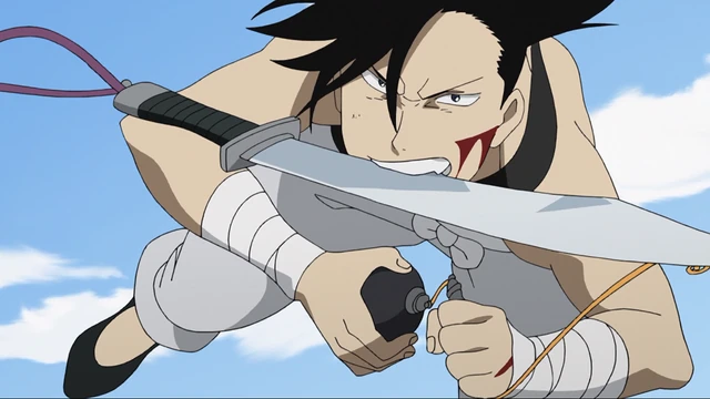 Forum Image: http://static2.wikia.nocookie.net/__cb20131217194029/fma/images/thumb/8/8f/Acrobat.png/640px-Acrobat.png