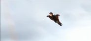 Wingsuit2