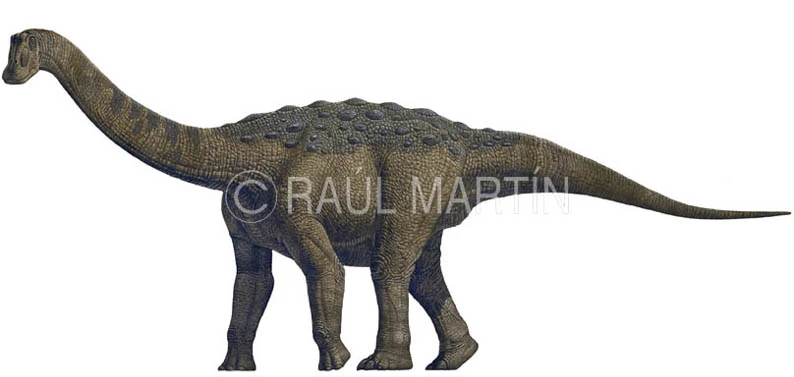 Saltasaurus Wiki Prehistórico