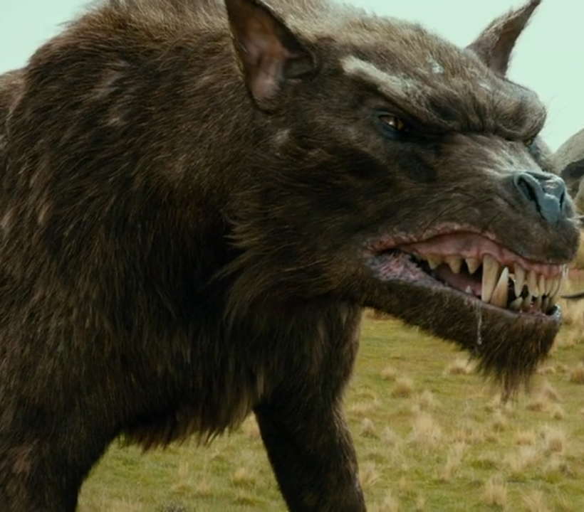 hairless creature in lord of the rings
