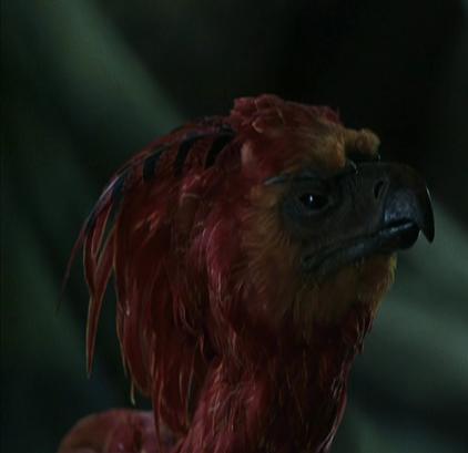 Fawkes - Harry Potter Wiki