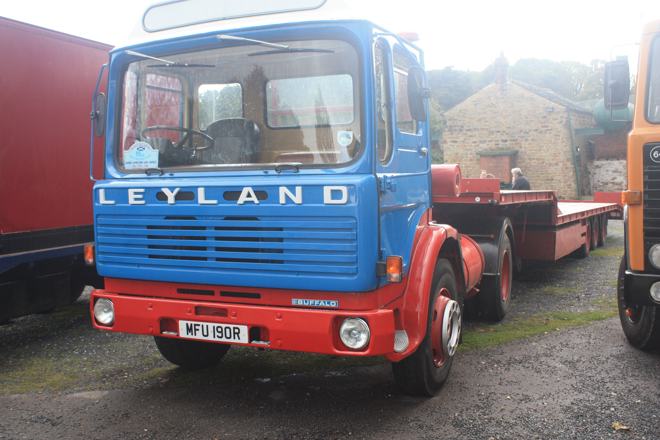 Buffalo ford tractor #3