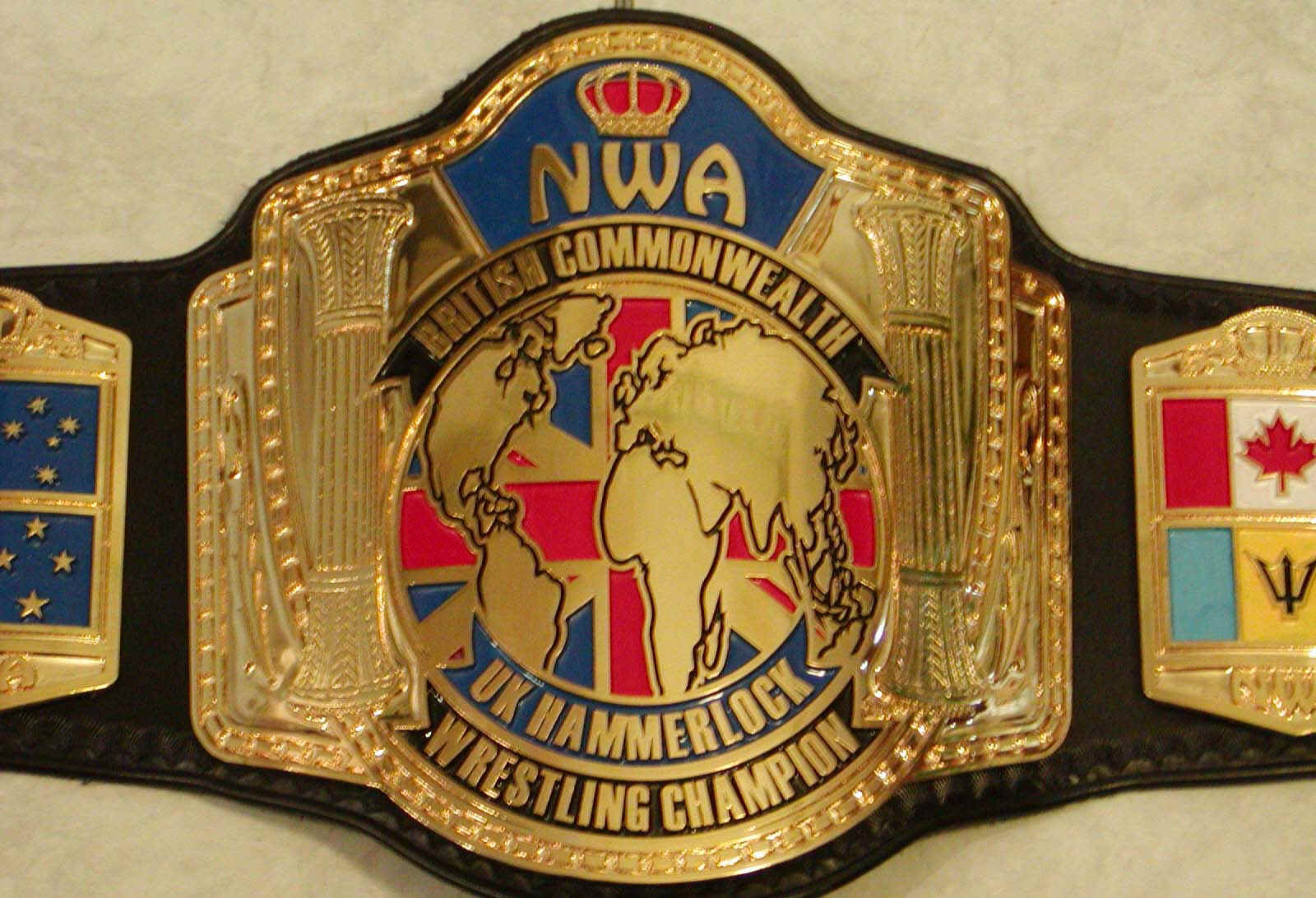 National Wrestling Alliance championships - Pro Wrestling Wiki - Divas ...