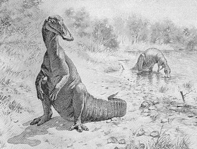 Hadrosaurus - Fossil Wiki, the paleontology wiki