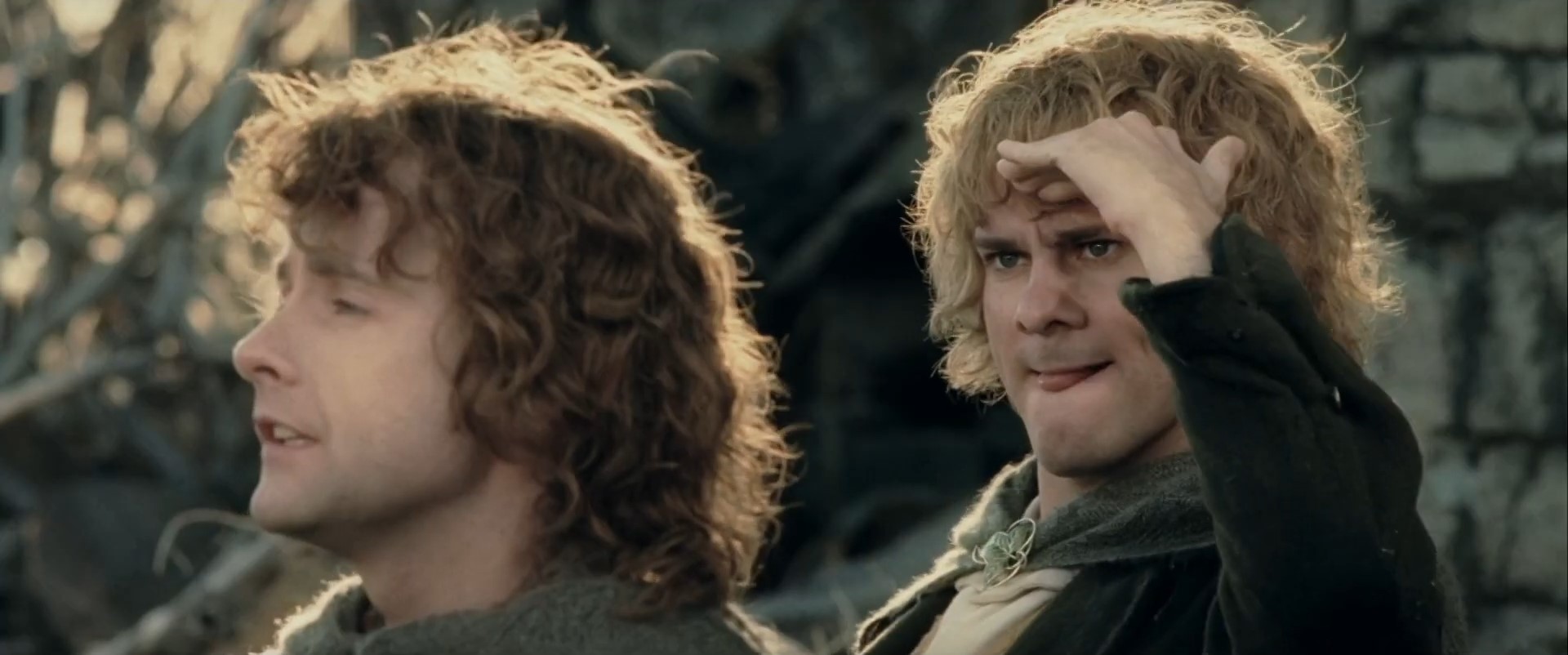 Images of Peregrin Took - Lord of the Rings Wiki