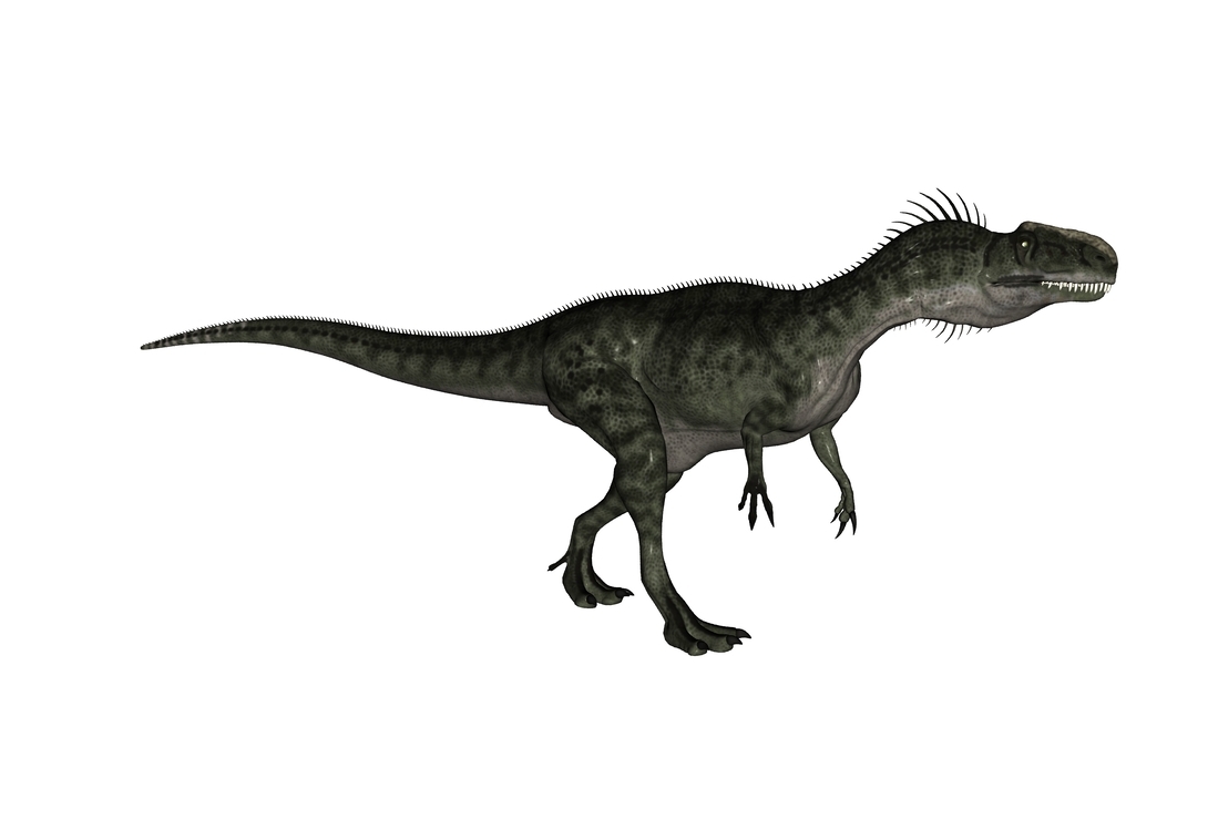 Monolophosaurus - Dinopedia - the free dinosaur encyclopedia