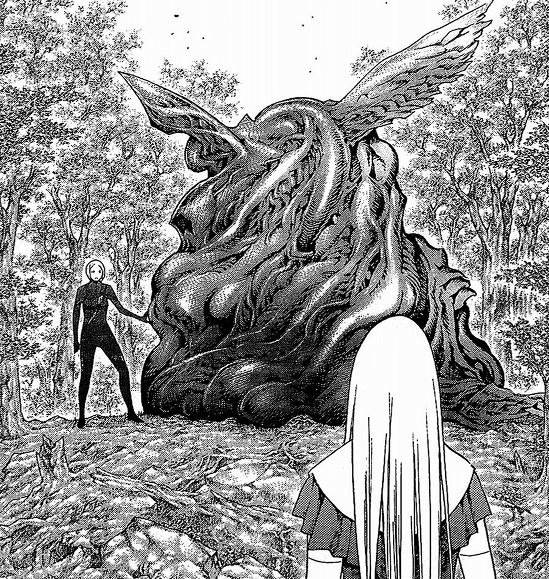 Cocoon - Claymore New Wiki - Claymore, Clare, characters, manga, anime ...