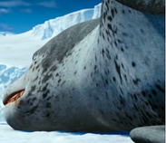 Leopard Seal - Happy Feet Wiki, The Movie-Based Happy Feet Encyclopedia