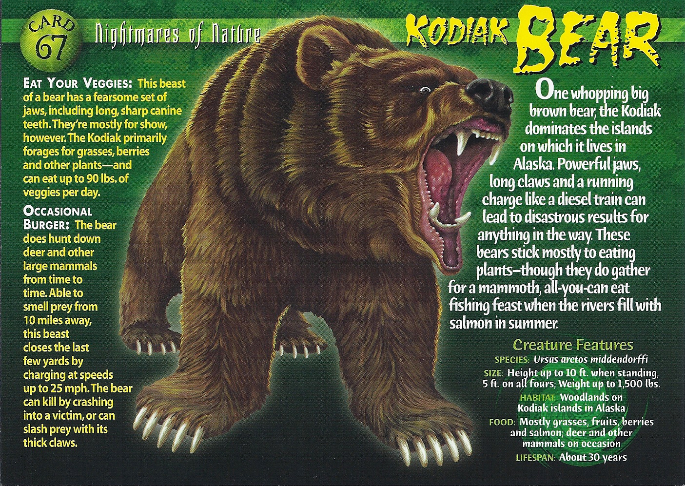 Kodiak Bear - Wierd N'wild Creatures Wiki