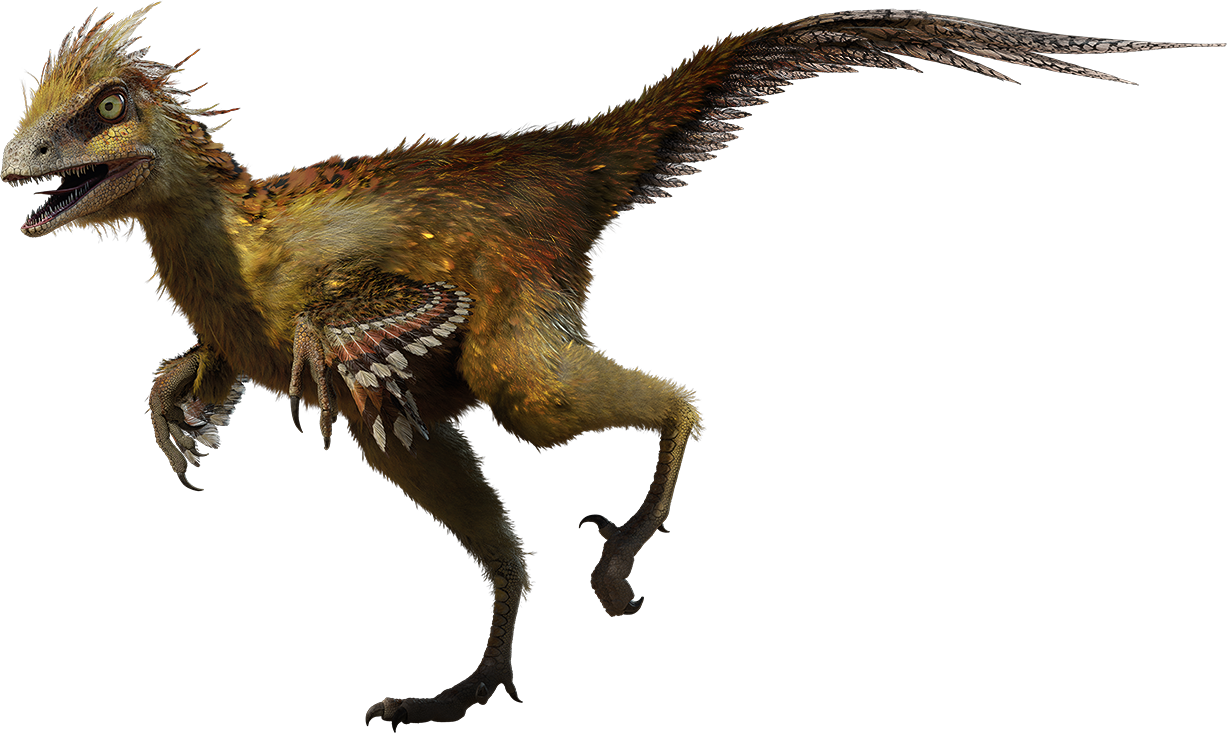 Hesperonychus - Walking With Wikis - the free Walking with... encyclopedia