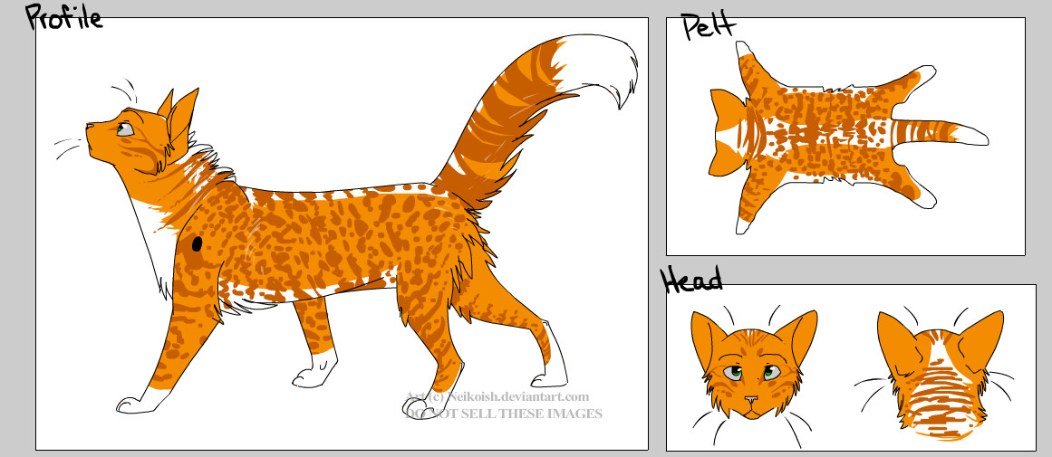 Image - Hollykit.jpg - Free Realms Warrior Cats Wiki