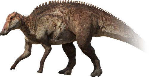 Edmontosaurus - Dinopedia - the free dinosaur encyclopedia